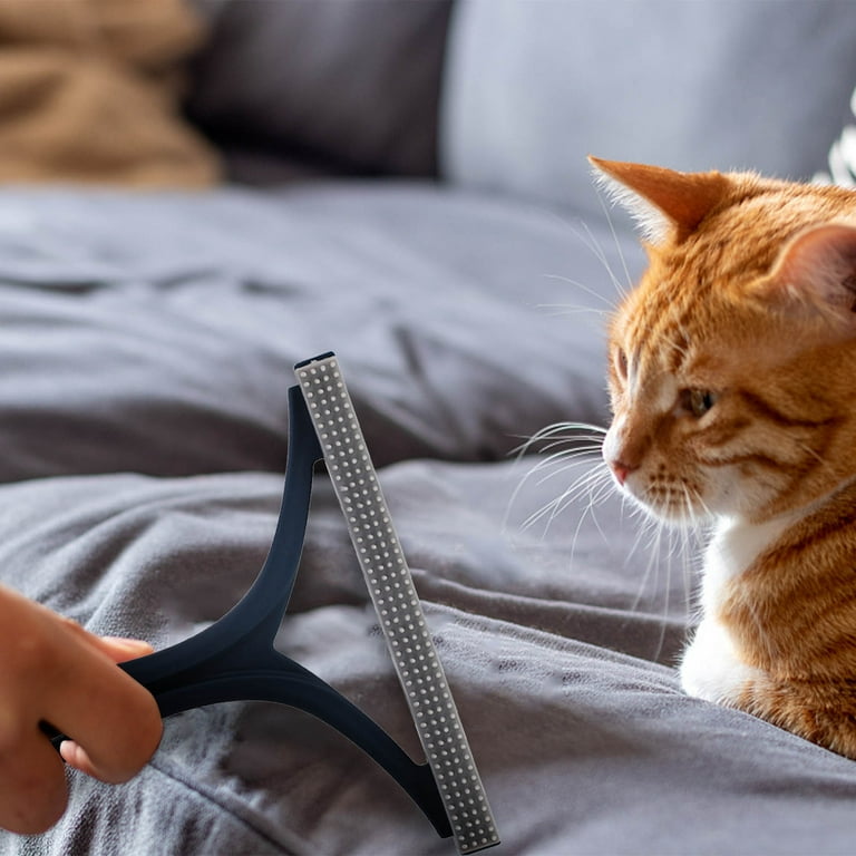Cat Hair Best Way To Get Dog Hair Off Sofa Manual Pet Hair Remover