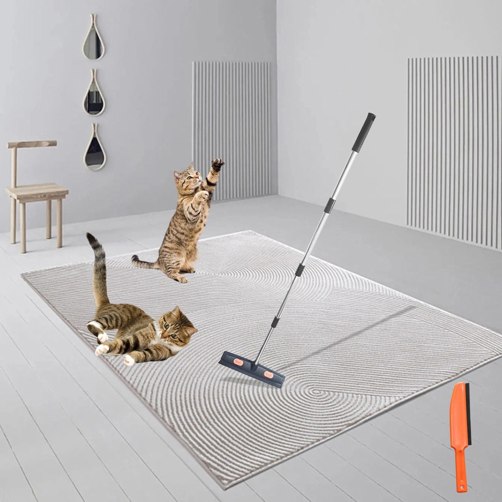 Carpet brush for dog hair 2025