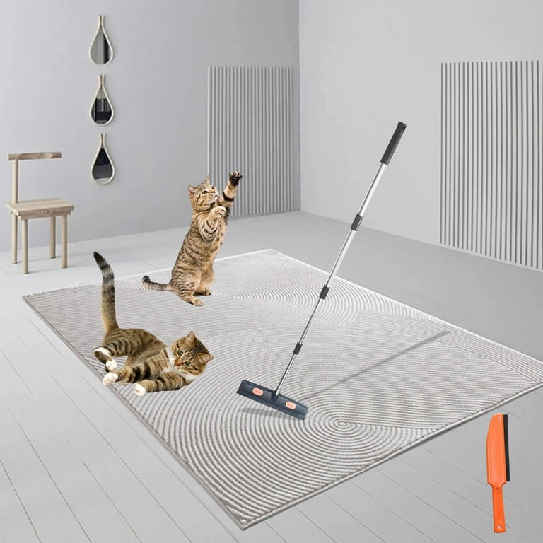 Pet Hair Remover, Dog Hair Carpet Rake, with Telescopic Handle
