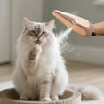 thumbnail image 1 of Pet Hair Remover Gloves 7.9"Grooming Mist Glove for Cats and Dogs Anti Static No Fly Away Hair, Loose Hair Removal & Detangling, Massage Grooming Gloves for Pets,Pink, 1 of 8