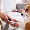 thumbnail image 1 of Pet Hair Trimmer, Low Noise Rechargeable Electric Clipper with Precision Blade for Dogs Cats, Cordless Grooming Shaver for Sensitive Areas Paws Face Ears Home Grooming, 1 of 4