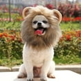thumbnail image 1 of Pet Halloween Costume, Lion Mane Hat for Kittens Puppy Dogs Adjustable Fancy Lion Hair Christmas Easter Party Activity, Brown, M, 1 of 12