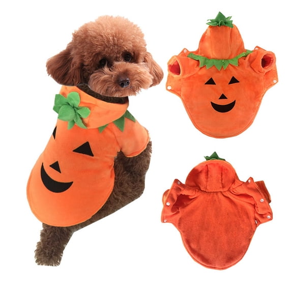 Pet Halloween Pumpkin Transformation for Small Dogs | Funny Pet Dress Up Outfit for Unique Seasonal Celebration in Pet Clothes