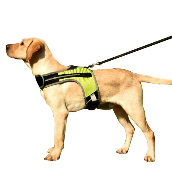 Pet Harness Dog Harness Reflective Adjustable Vest Harness LED Chest Strap for Medium Large Dog (XL, Green(LED))