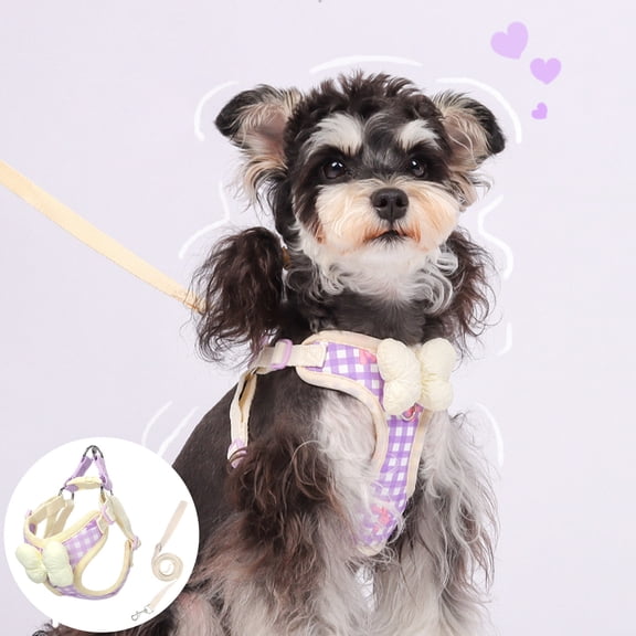 Pet Harness Leash Set Mesh, Breathable Adjustable Walking Vest Gear, Anti Pull Safety Chest Strap, Outdoor Training Walking Control Harness, Small Medium Dog Cat Equipment
