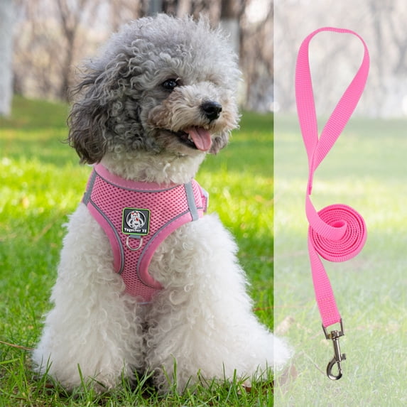 Pet Harness and Leash Set, Reflective Adjustable No-Pull Dog Vest Harness with Leash for Walking Running Training, Escape Proof Breathable Mesh Dog Harness for Small Medium Large Dogs