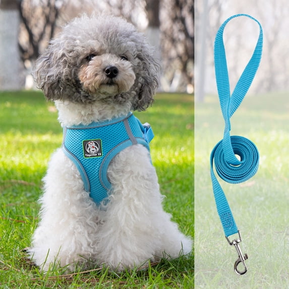 Pet Harness and Leash Set Soft Breathable Vest Reflective Adjustable Secure Control Easy Wear for Small Medium Large Dogs Cats Walking Running Outdoor Travel Mesh Fabric X-Shape Buckle