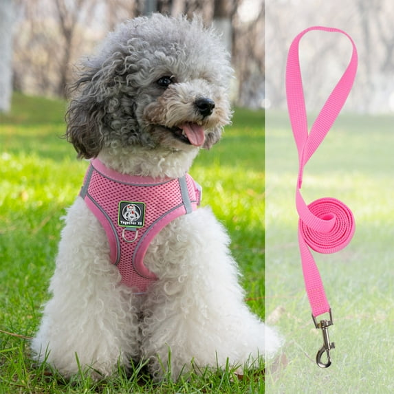 Pet Harness and Leash Set, Soft Breathable Vest with Reflective Strip, Easy to Wear for Walking and Running, Adjustable for Small Medium Large Dogs,Vsgery