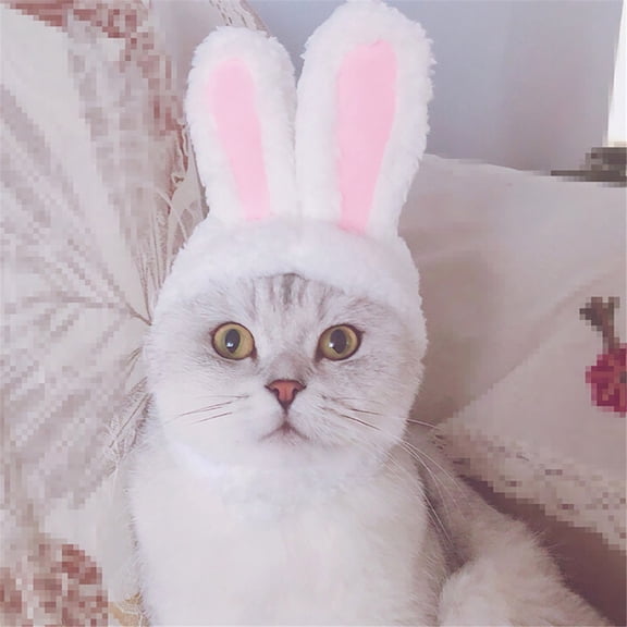 Pet Hat Cute Ears Knitted Cap Funny Costume Soft Warm for Cats Dogs