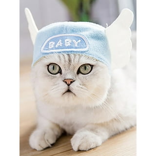 Cat Cap