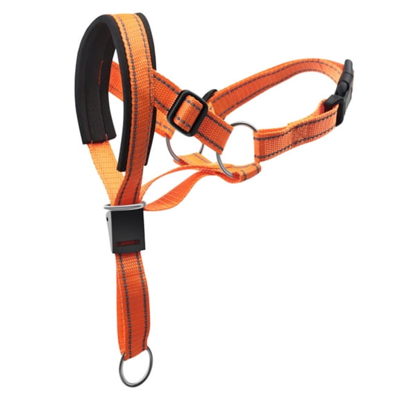 Pet Head Collar, Head Halter Collar For Dogs, Head Collar To Stop Pulling For Dogs - Orange - M