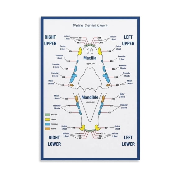 Pet Health Education Poster, Dental Care Chart for Dogs & Cats, Informative Wall Art for Vet Clinic Waiting Room and House
