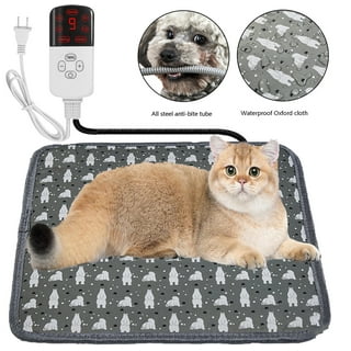Heated cat bed walmart hot sale
