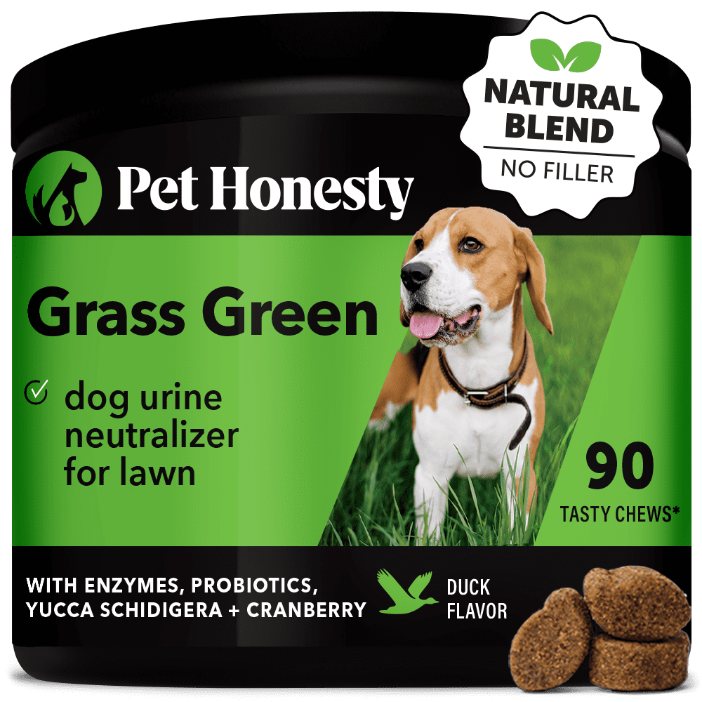 Pet Honesty Dog Grass Green Supplement w Enzymes Probiotics Yucca