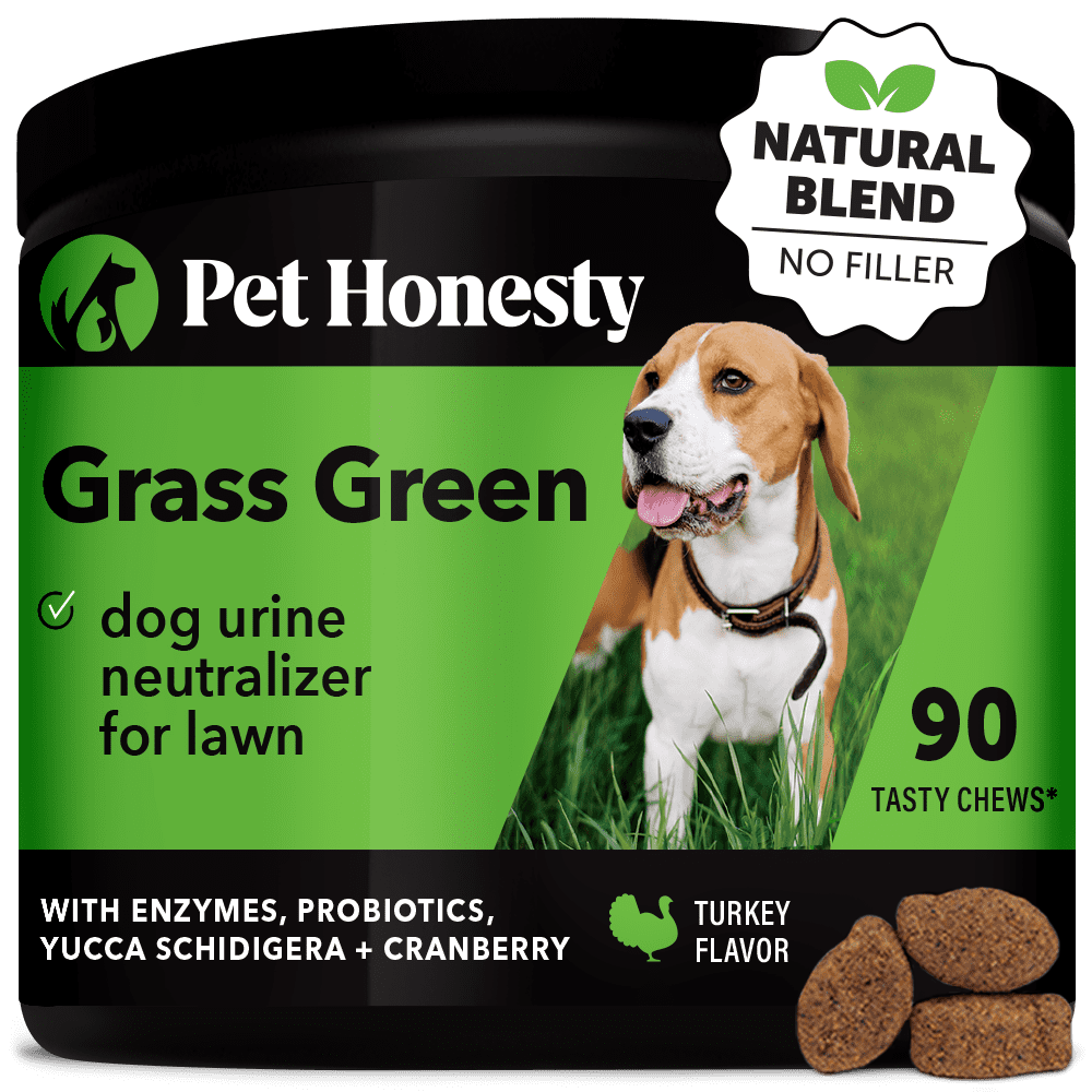 Pet Honesty Dog Grass Green Supplement w Enzymes Probiotics Yucca