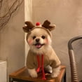 thumbnail image 1 of Pet Hooded Sweatshirt For Small Medium Dogs Cats Warm Jacket Fall Winter Wear Cozy Outfit, 1 of 6