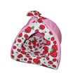 thumbnail image 1 of Amoroso Folded Lightweight Pet House with Sponge Cushion 6239 Pink, 1 of 8