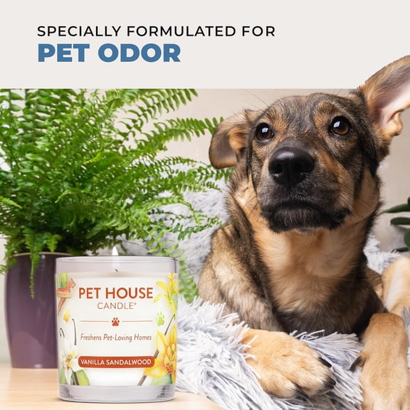 Pet House Candles, Clean Long-Lasting Pet Odor Candles for Home, Plant-Based, 60 Hour Burn Time - Lemon Cupcake, 9 oz, 2 Pack