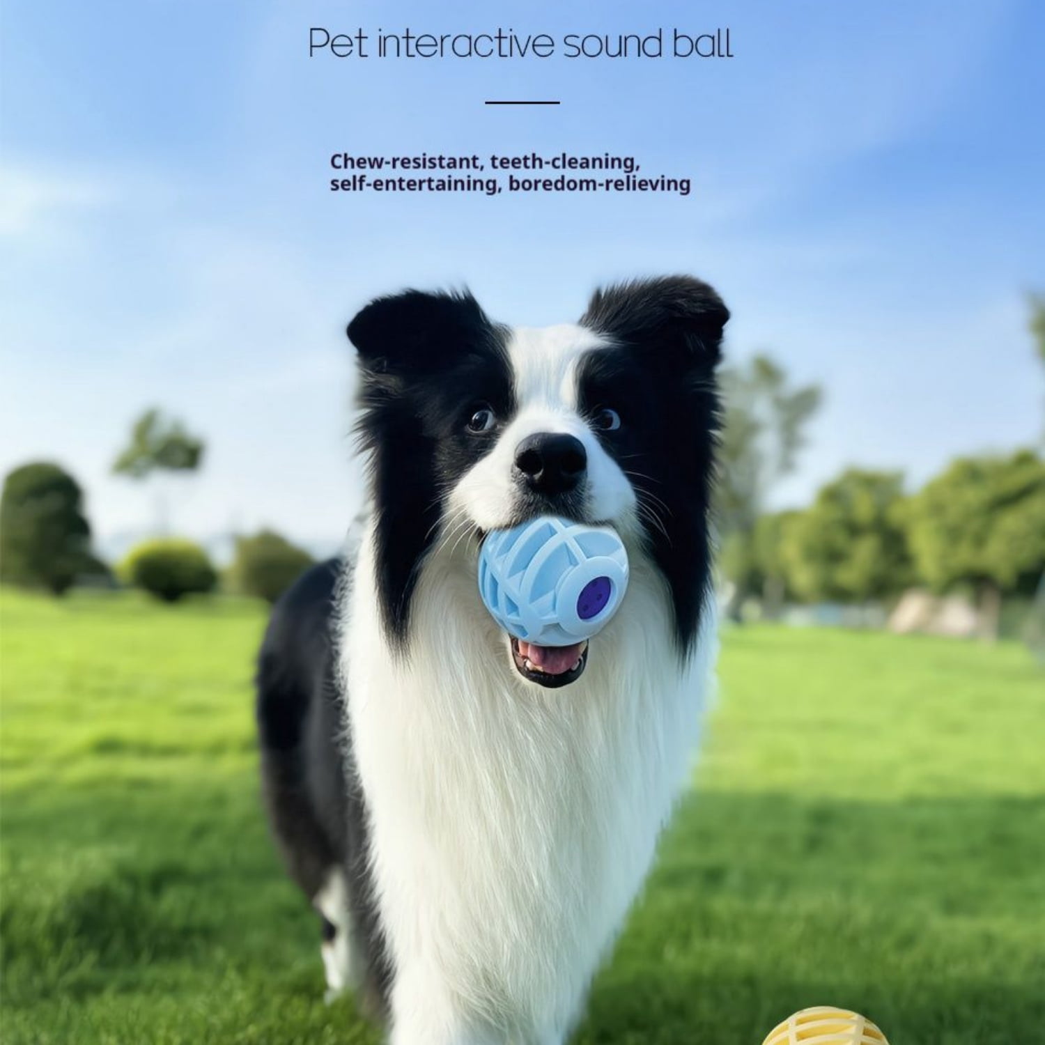 Pet Interactive Sound Ball, The Mellow Dog Cat Pet Voice Ball, Interactive Pet Squeaky Toys