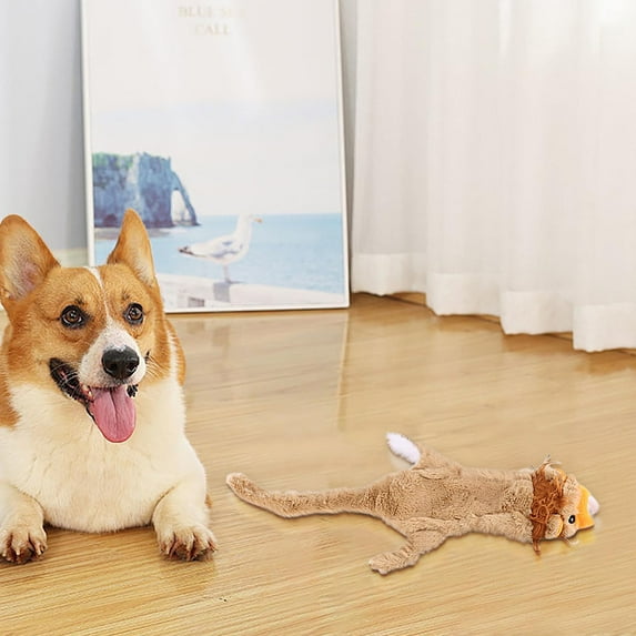 Pet Interactive Toys Plush Dog Toy – Cute No Stuffing Dog Toys for Aggressive Chewers for Small, Medium & Large Dogs – Soft, Fetch, Tug, Training, Teething(1pc)