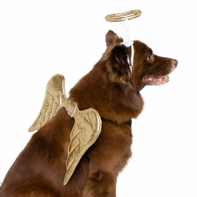 Pet Krewe Angel Dog Costume - Dog Angel Wings - Harness Attachment, One Size Fits All