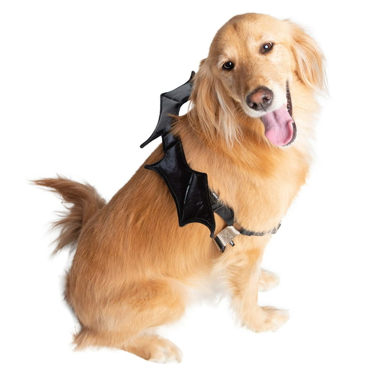 Holiday best sale dog harness