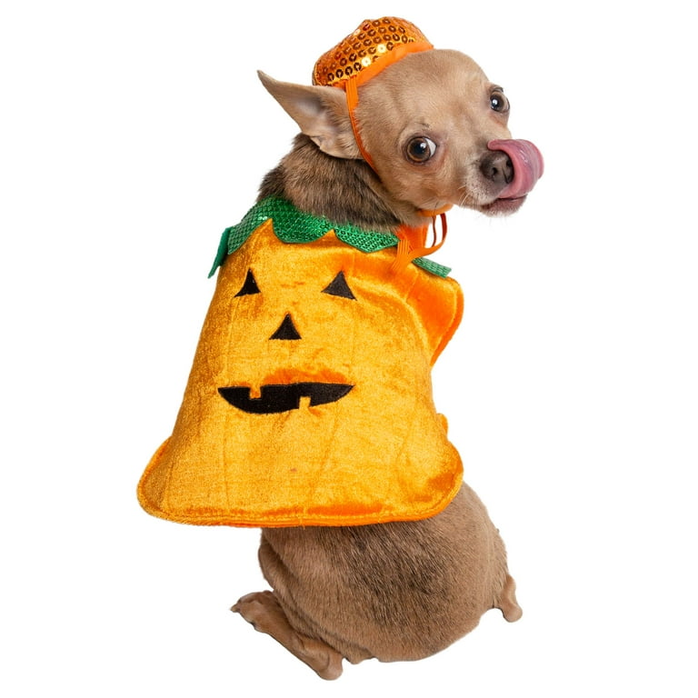 Pet Krewe Pumpkin Dog and Cat Costume Pet Krewe Pumpkin Dog and Cat Costume