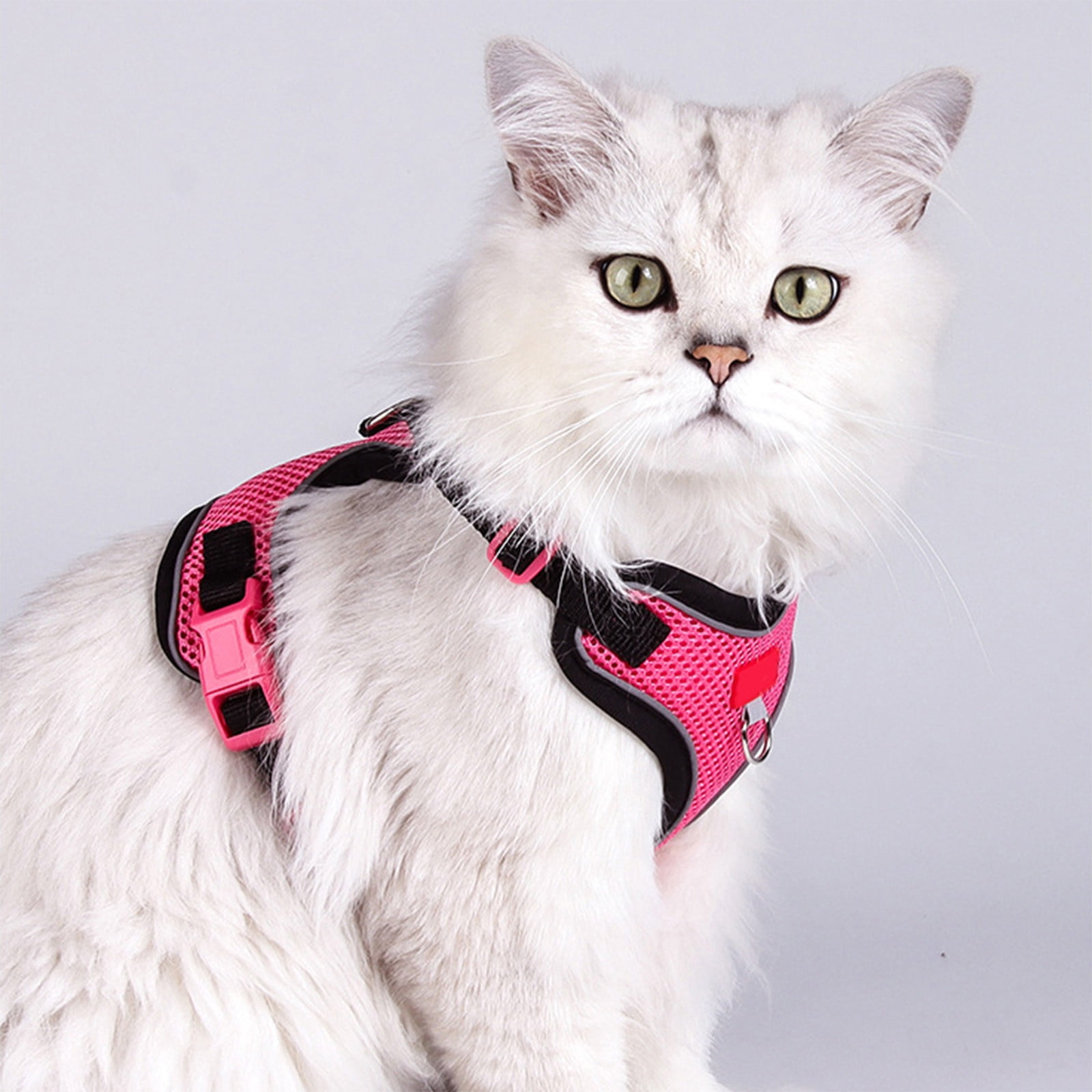 Image showcasing Pet Leash, Sleeveless Style Reflective Breathable Mesh, Adjustable Five ...