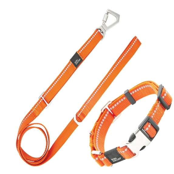 Pet Life ® 'Advent' Outdoor Series 3M Reflective 2-in-1 Durable Martingale Training Dog Leash and Collar
