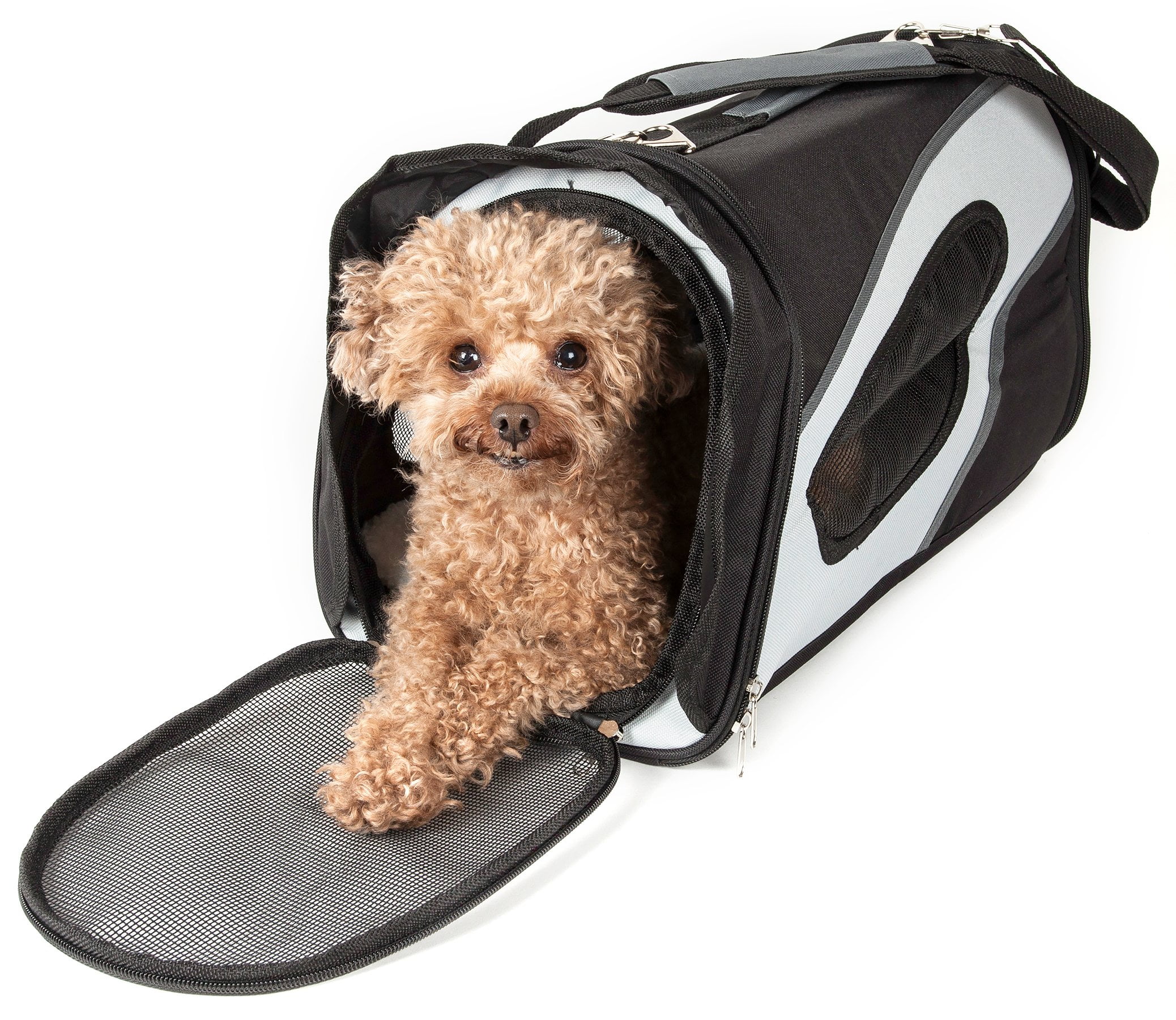 Large Black and White Airline Approved Soft Sided Pet Carrier