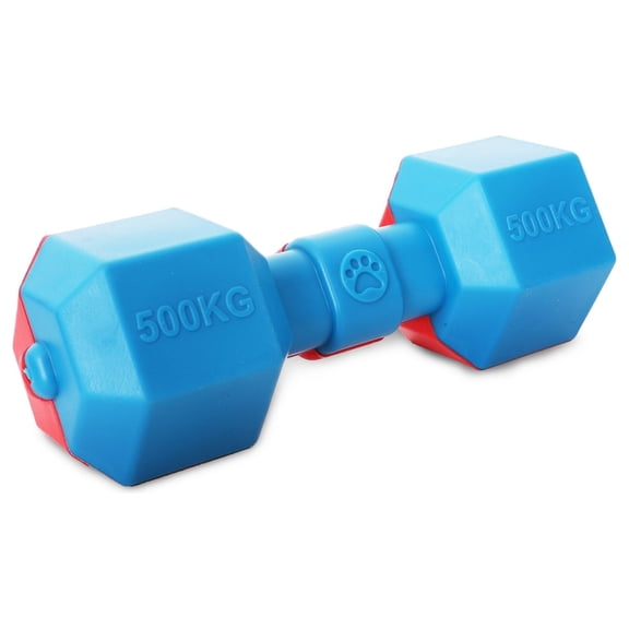 Pet Life  'Dumbbell' Durable Chew and Fetch TPR Waterproof Floating Dog Toy