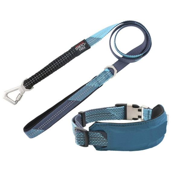 Pet Life ® 'Geo-prene' 2-in-1 Shock Absorbing Neoprene Padded Reflective Dog Leash and Collar