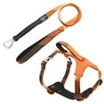thumbnail image 1 of Pet Life ® 'Geo-prene' 2-in-1 Shock Absorbing Neoprene Padded Reflective Dog Leash and Harness, 1 of 5