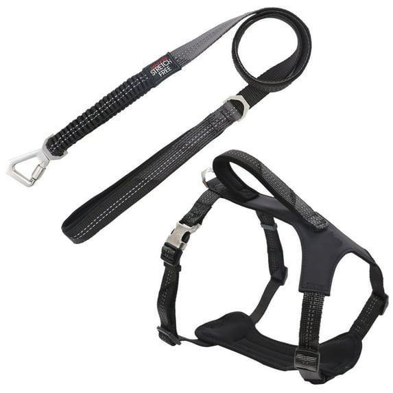 Pet Life ® 'Geo-prene' 2-in-1 Shock Absorbing Neoprene Padded Reflective Dog Leash and Harness