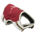 thumbnail image 1 of Touchdog Tough-Boutique Adjustable Fashion Dog Harness And Leash, 1 of 5