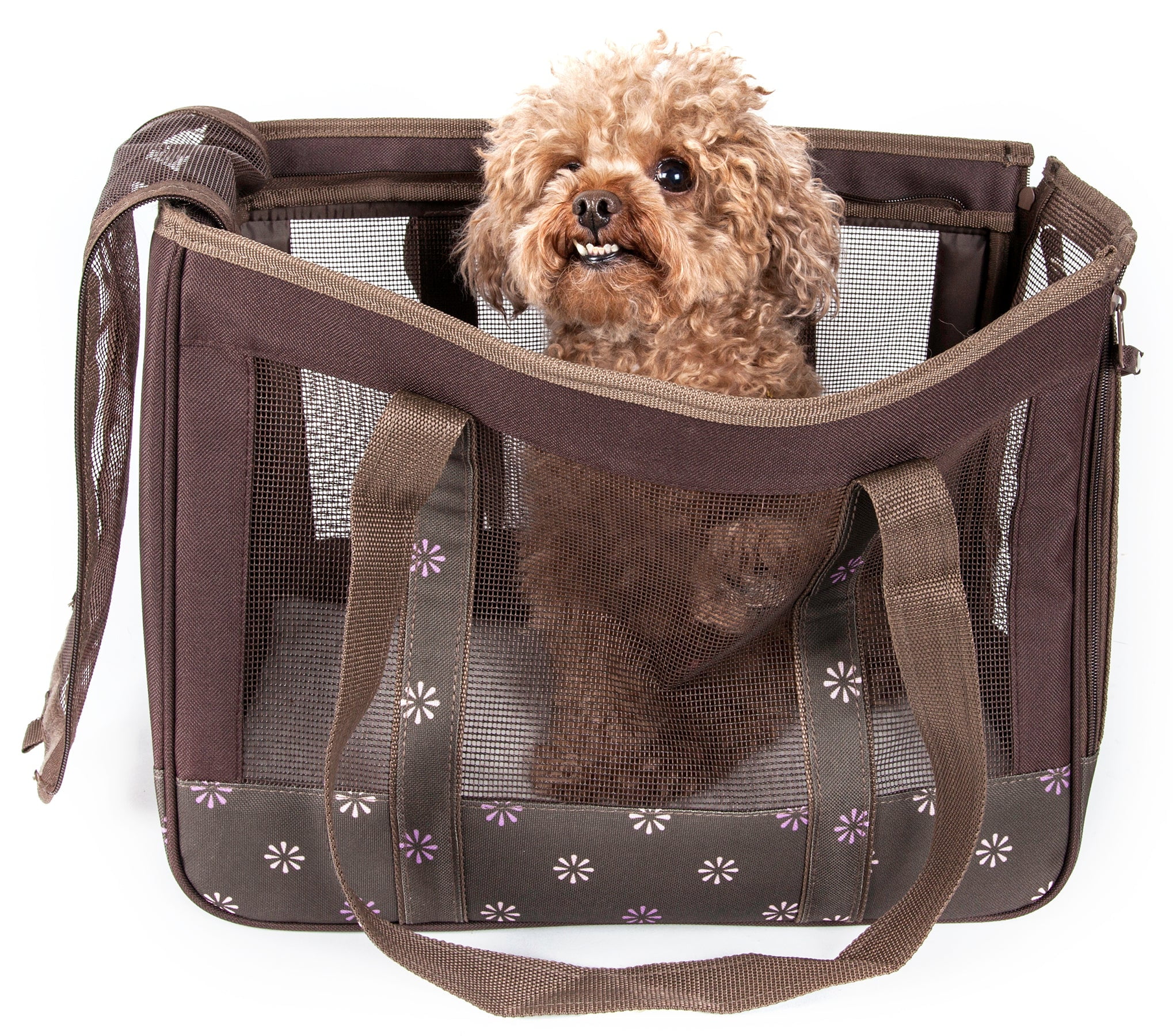 Pet life carrier hot sale
