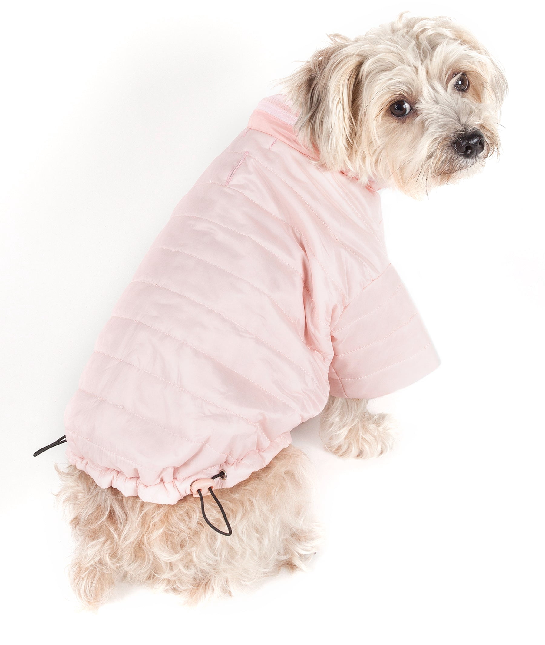 Pet Life ® Lightweight Adjustable and Collapsible 'Sporty Avalanche' Dog Coat w/ Pop-out Zippered Hood