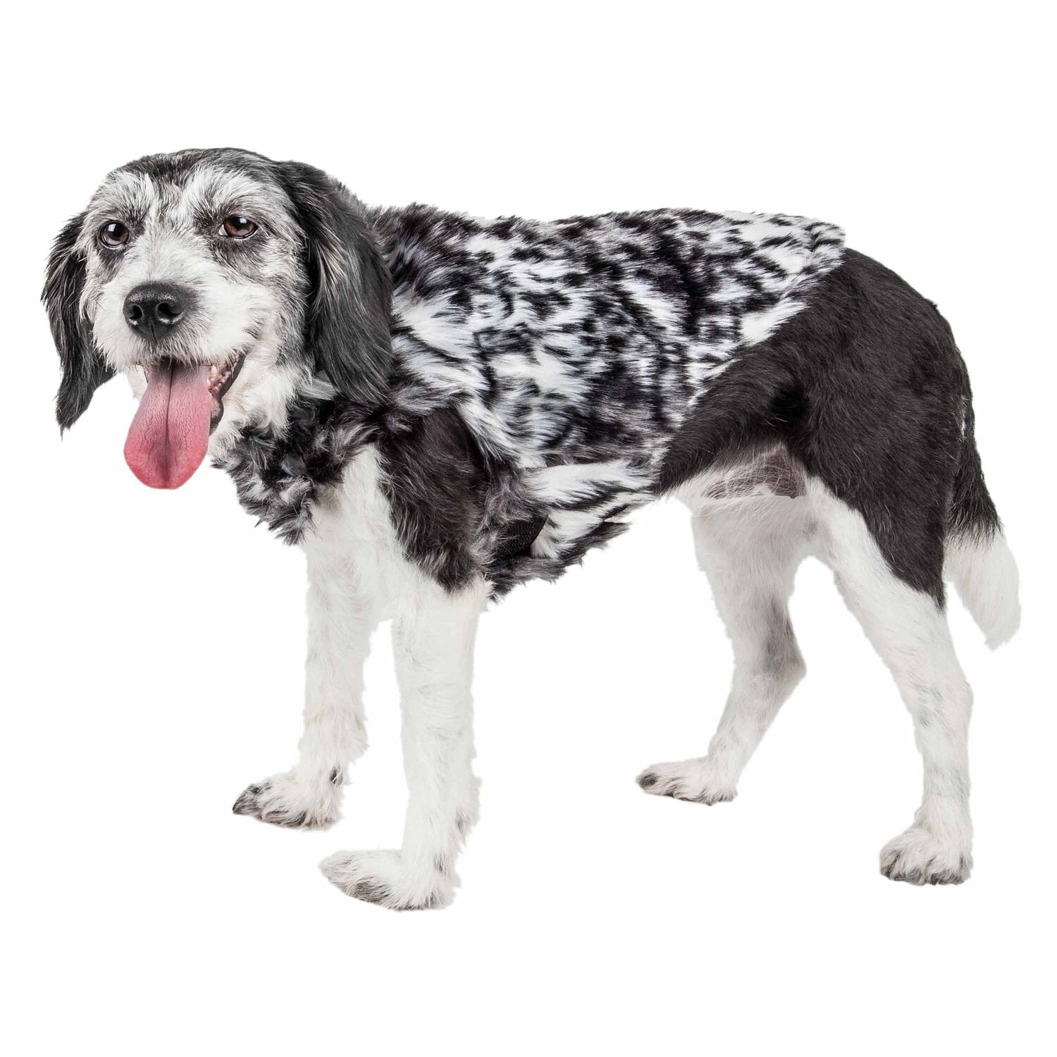 pet life  luxe 'paw dropping' designer gray-scale tiger pattern mink fur dog coat jacket