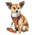 thumbnail image 1 of Pet Life ® Luxe 'Pawsh' 2-In-1 Adjustable Fashion Dog Harness and Leash, 1 of 10