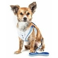 thumbnail image 1 of Pet Life HA25BLMD Luxe Spawling 2-in-1 Mesh Reversed Adjustable Dog Harness-Leash with Fashion Bowtie, Blue - Medium, 1 of 8