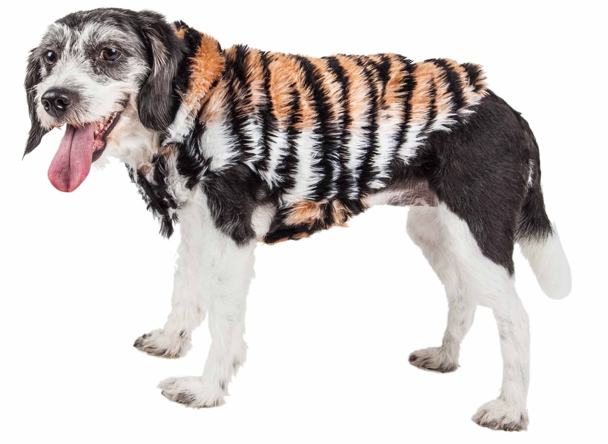 Pet Life ® Luxe 'Tigerbone' Tiger-Patterned Mink Fashion Fur Dog Jacket