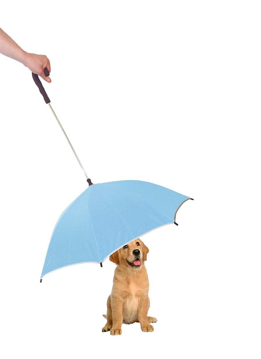 Dog umbrella best sale harness