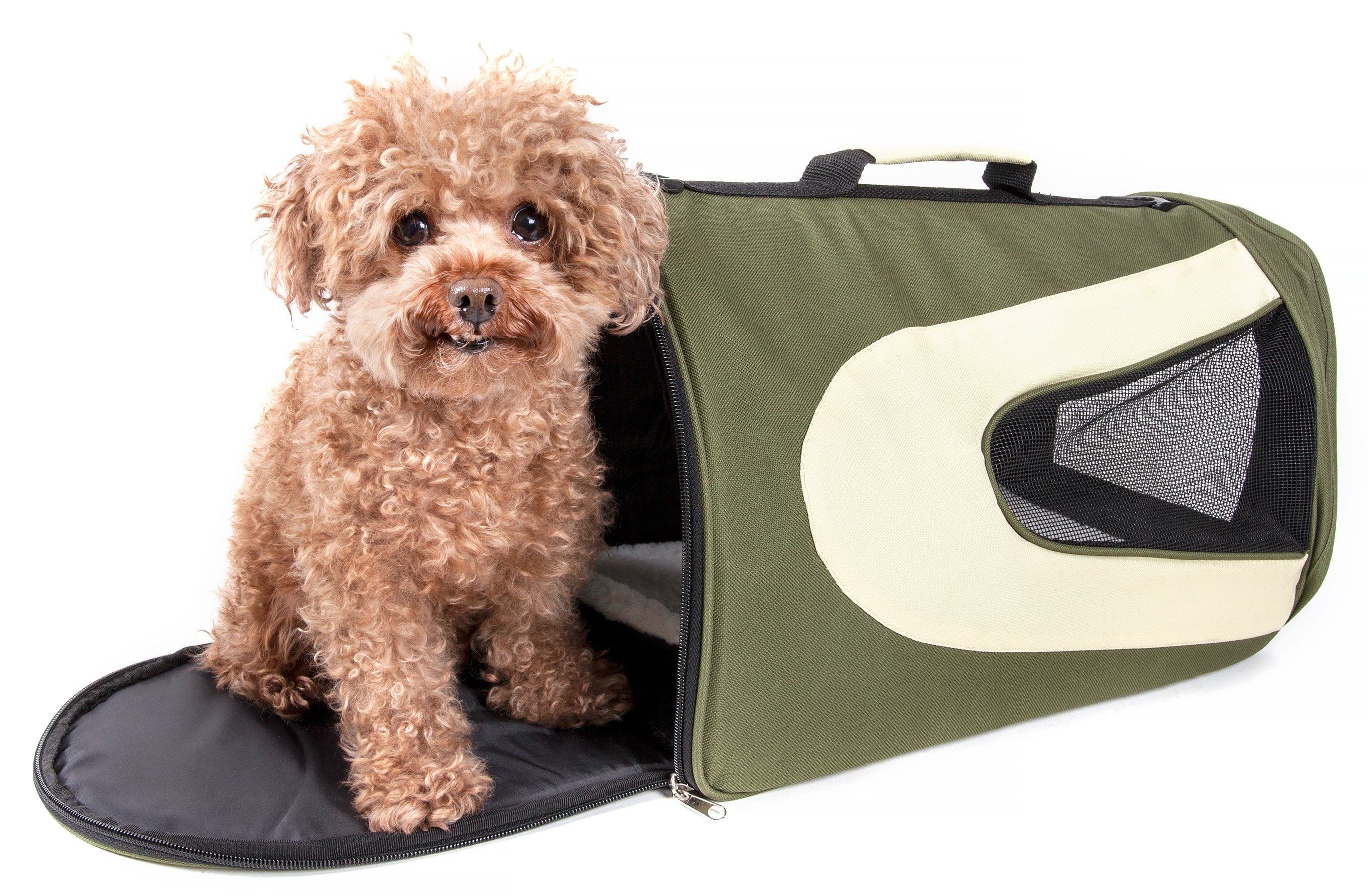 Pet life dog clearance carrier