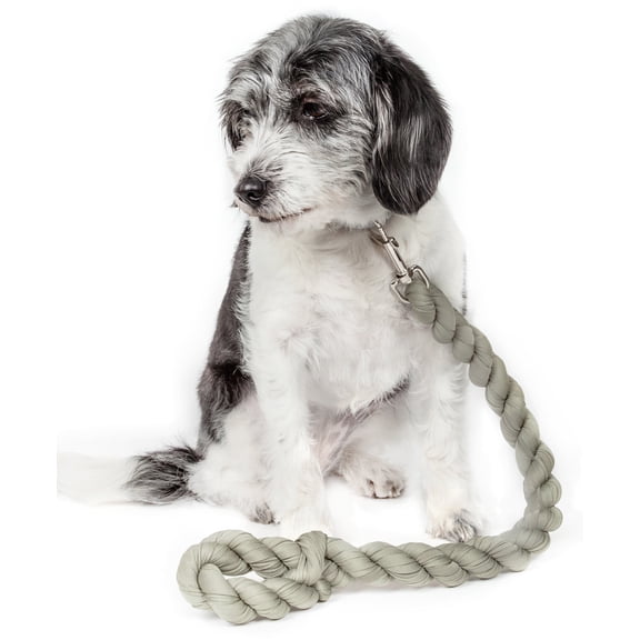Pet Life ® 'Tough-Tugger' Industrial-Strength Shock Absorption Woven Pet Dog Leash