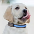 thumbnail image 1 of Pet Light Collar, USB/Solar Charging, LED, Waterproof, Adjustable, for Dogs, Night Safety, with Multiple Lighting Modes, 1 of 2