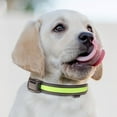 thumbnail image 1 of Pet Light Collar, USB/Solar Charging, LED, Waterproof, Adjustable, for Dogs, Night Safety, with Multiple Lighting Modes, 1 of 2