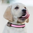 thumbnail image 1 of Pet Light Collar, USB/Solar Charging, LED, Waterproof, Adjustable, for Dogs, Night Safety, with Multiple Lighting Modes, 1 of 2