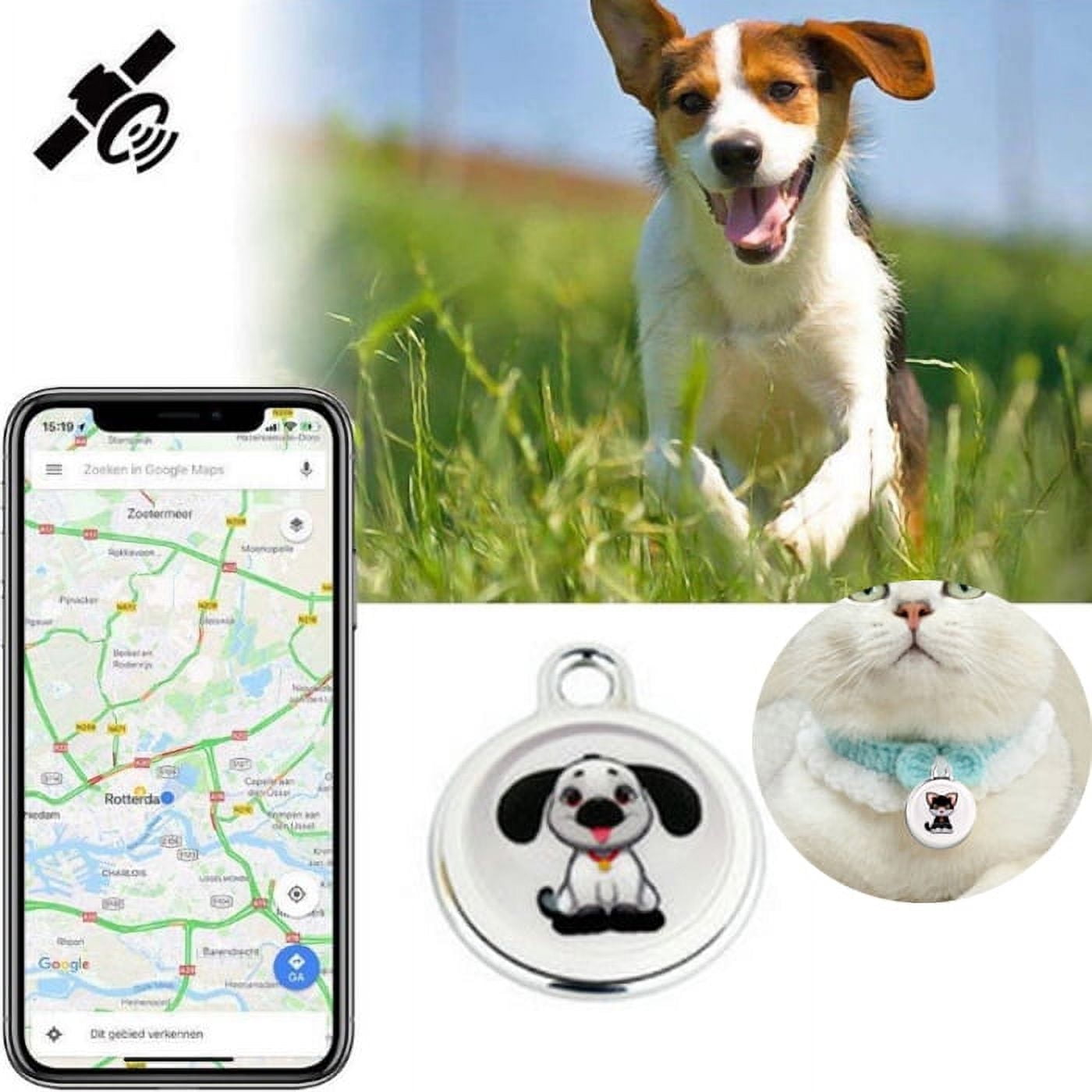 Pet locator top for dogs