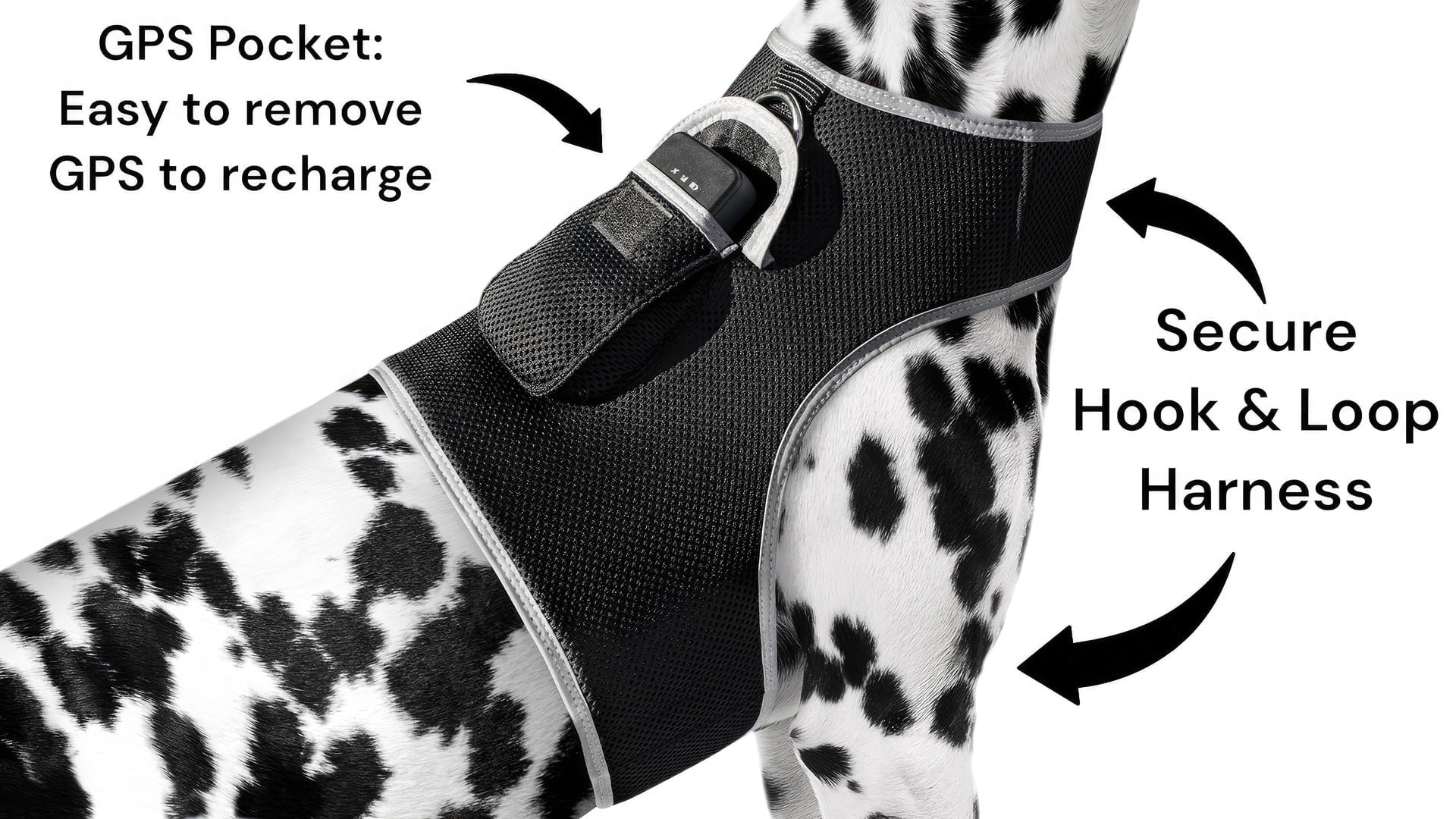 Pet Lost Prevention with Pet Tracker Waterproof GPS Tracking Collar Device Size:M