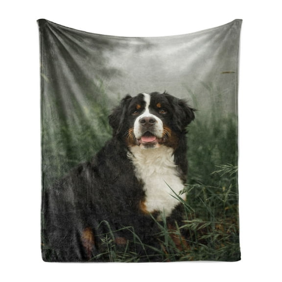 Pet Lover Soft Flannel Fleece Throw Blanket, Real Life Image of a Bernese Mountain Dog Sitting Purebred Animal in Forest, Cozy Plush for Indoor and Outdoor Use, 60" x 80", Multicolor, by Ambesonne